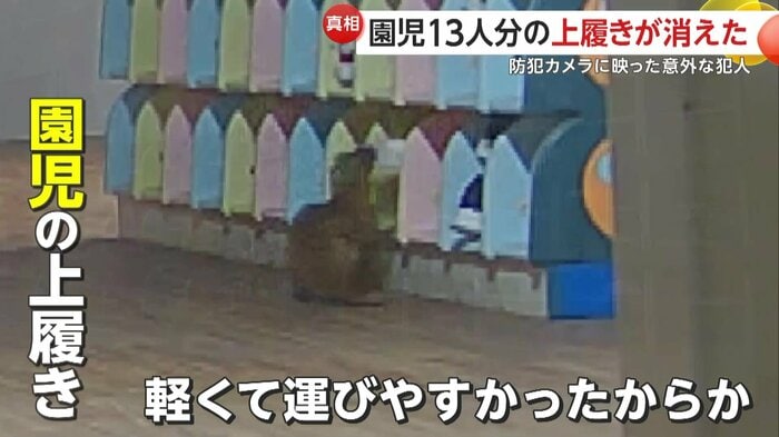 イタチにとってはちょうどよかった園児の上履き