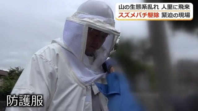 カメラマンも防護服を着て駆除作業に密着