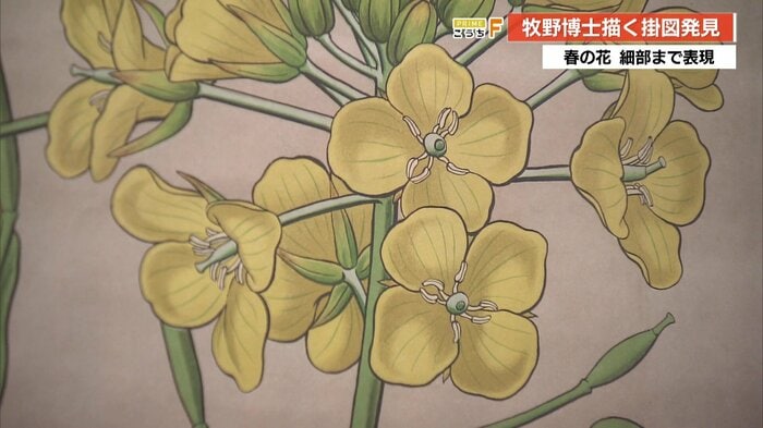 輪郭線がくっきりと分かりやすく描かれている