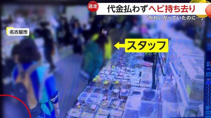 店のスタッフが他の客の接客中に…
