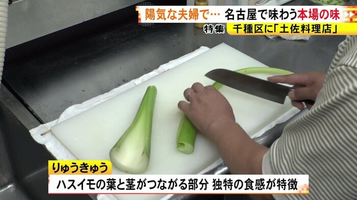 ニュースONE