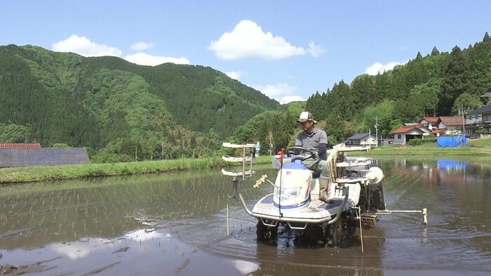 田植え作業をする「ゆーかりファーム」のスタッフ