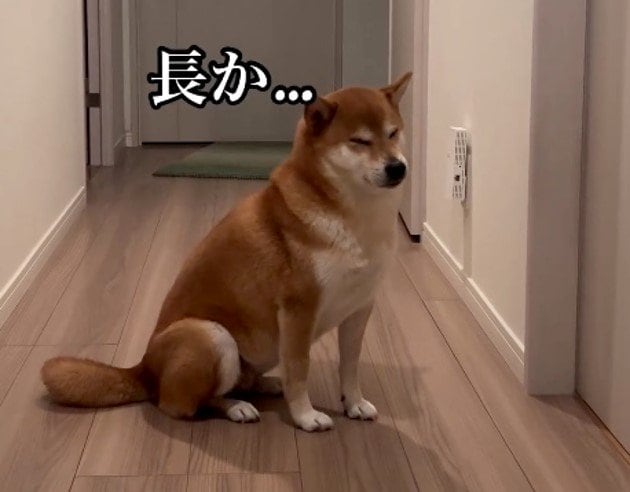 やっぱりお風呂は長か…(提供:柴犬けいちゃん)