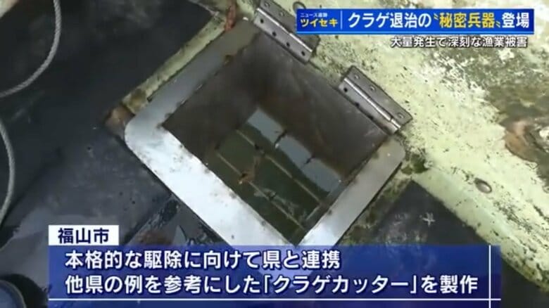 クラゲ退治の新兵器「クラゲカッター」　瀬戸内海で大量発生のクラゲが漁業に深刻な被害【広島発】｜FNNプライムオンライン