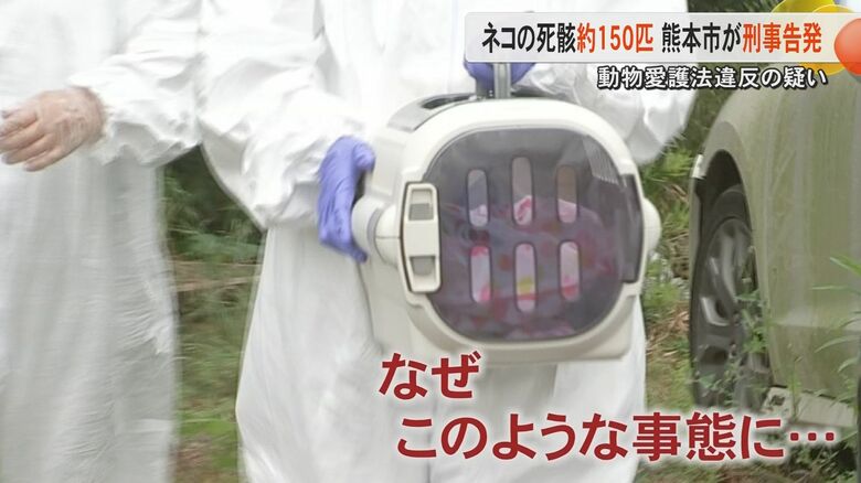【続報】「死んでいるネコがいるようだ」と相談も熊本市は『虐待ない』と判断　動物愛護法違反の疑いで女性を刑事告発｜FNNプライムオンライン