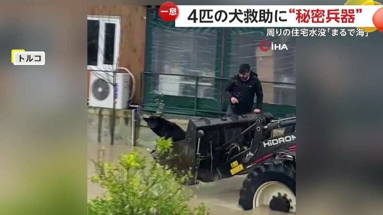 「大至急ここから救助しないと!」豪雨で水没した住宅に取り残された4匹の犬 近隣住民が“重機”使い無事救出 トルコ|FNNプライムオンライン