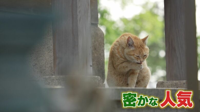 北九州に観光客の穴場発見！無形文化財“発祥の地”で4匹の「招き猫」が大人気　九州の訪日外国人36万人超｜FNNプライムオンライン