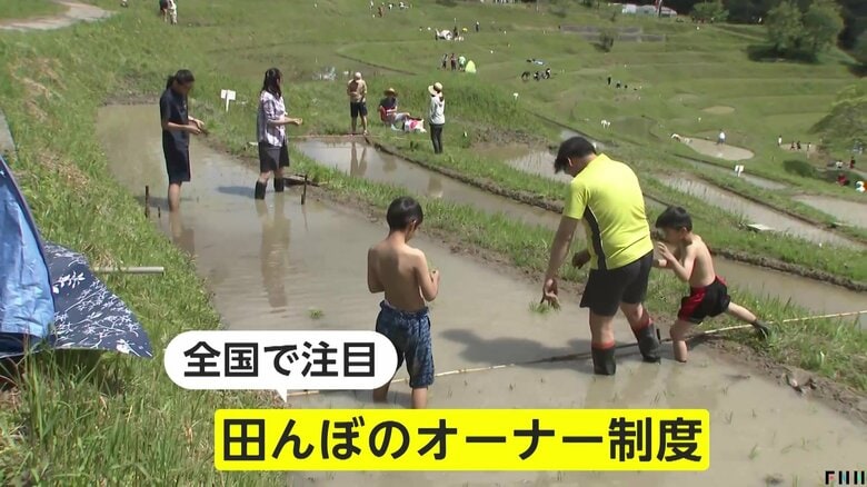 「子どもの食育にもなる」田んぼオーナー制度の人気急上昇…記録的な米高騰で「米作り体験」と「収穫米」の一石二鳥と｜FNNプライムオンライン