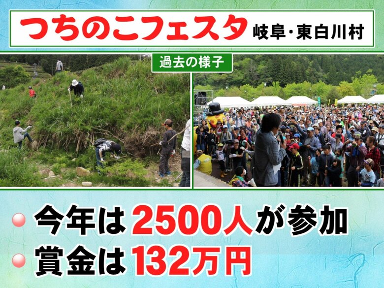 村の人口より多い2500人が大捜索…岐阜県東白川村で『つちのこフェスタ』幻のつちのこは今年も見つからず｜FNNプライムオンライン
