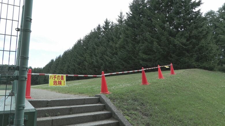 帯広市の公園でテニス大会中に17人がハチに刺される〈北海道〉&lt;br /&gt;｜FNNプライムオンライン