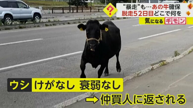 (FNN投稿サイト「ビデオPost」)