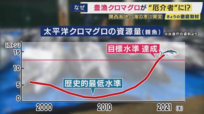 クロマグロの漁獲量