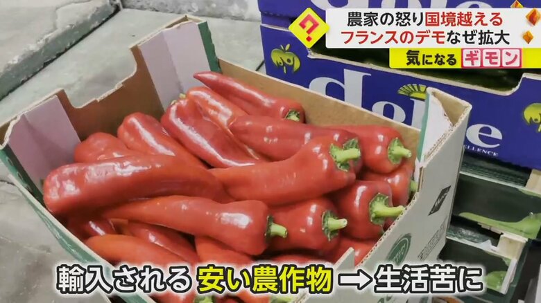 農家の人々はEU外から輸入される安い農作物によって生活が苦しくなると訴えている