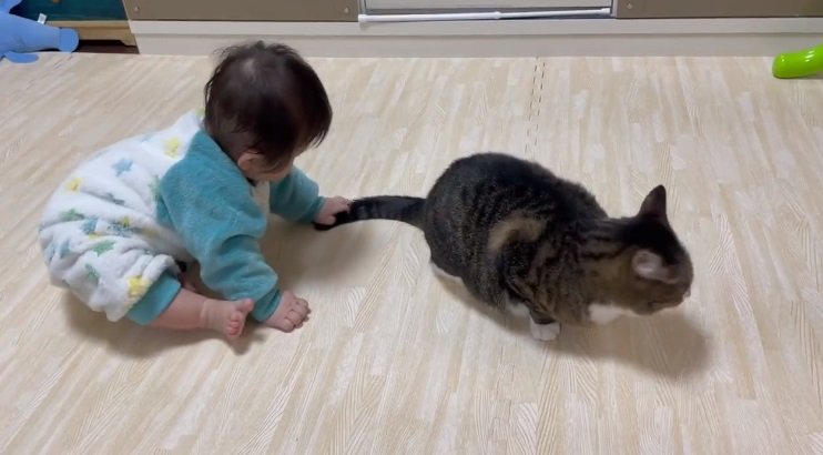 チャンス！