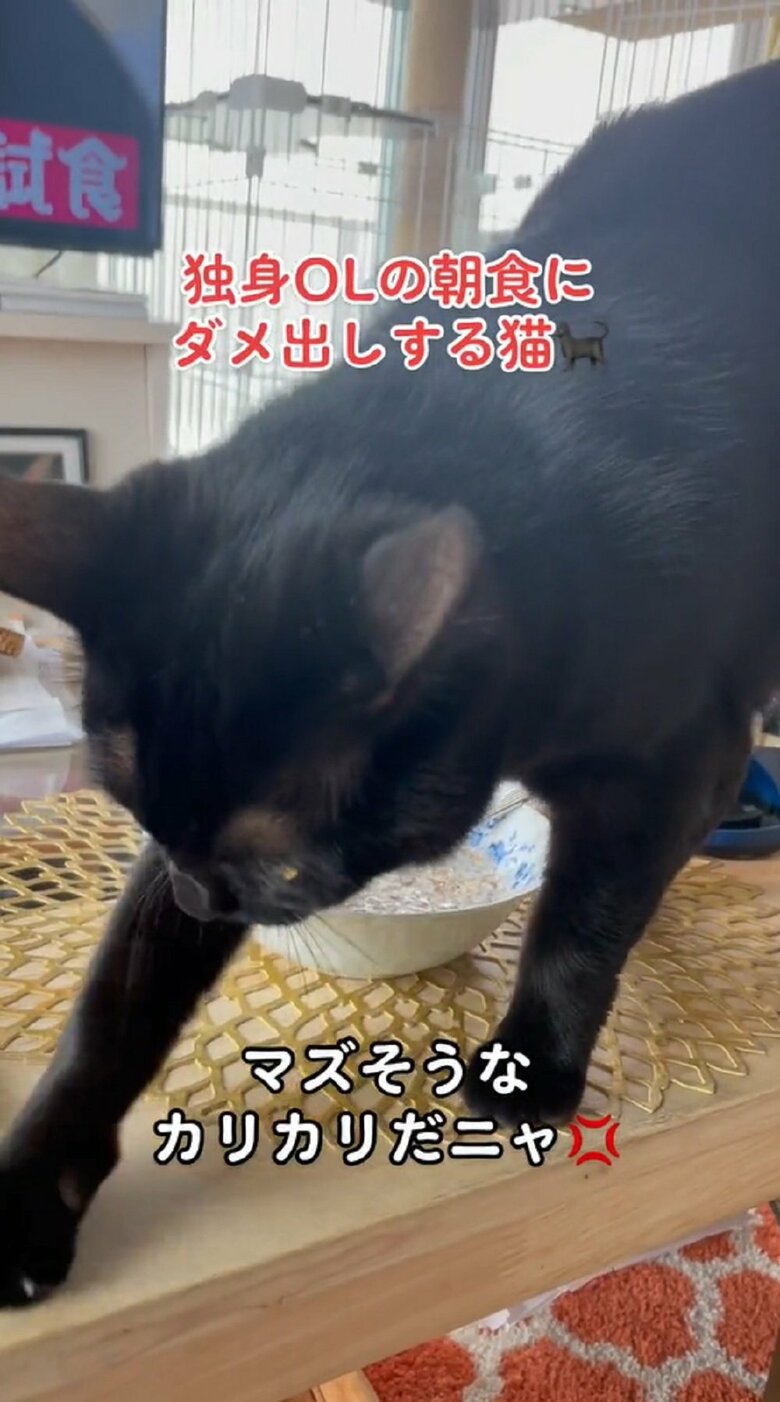 砂かけを開始する