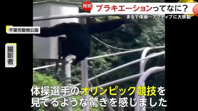 体操選手のような動きを見せるハートちゃん（映像提供：照井弘大さん）