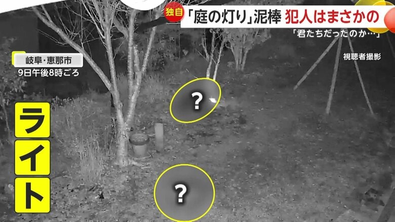 ライトを持って駆け回る“窃盗犯”