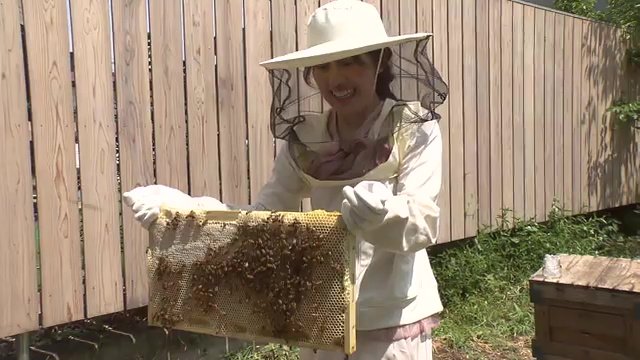 ビーウォッチング