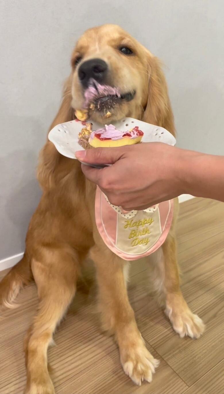 提供：関口和也さん