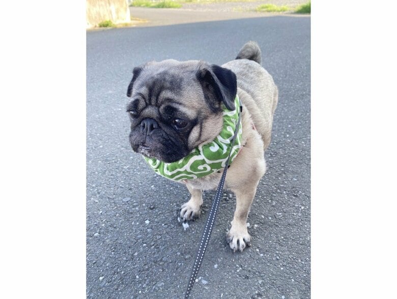 提供：ボンさん