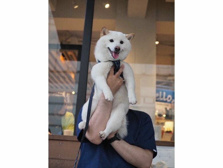 提供：ラッキーさん