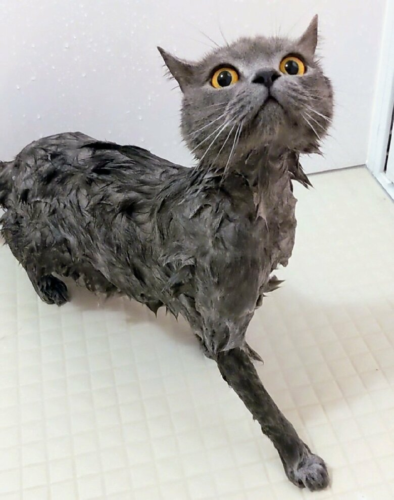 お風呂に入っている光太郎くん