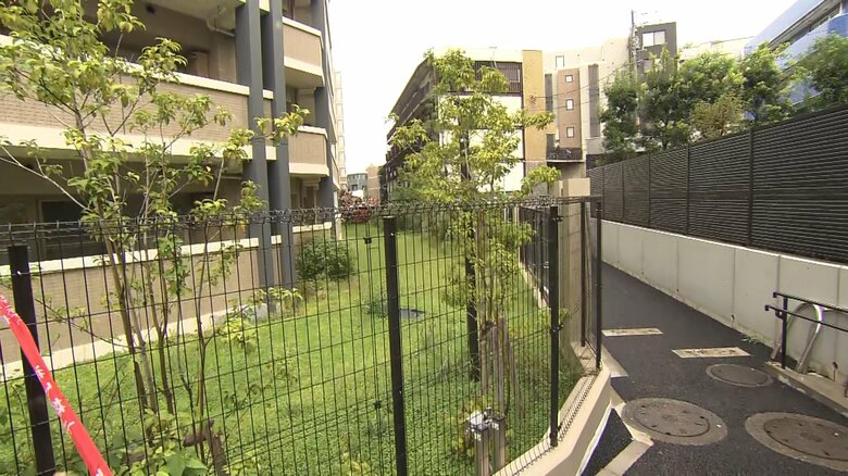 現場までは細い道しかない