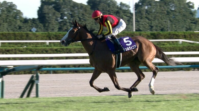 秋華賞を制したチェルヴィニア