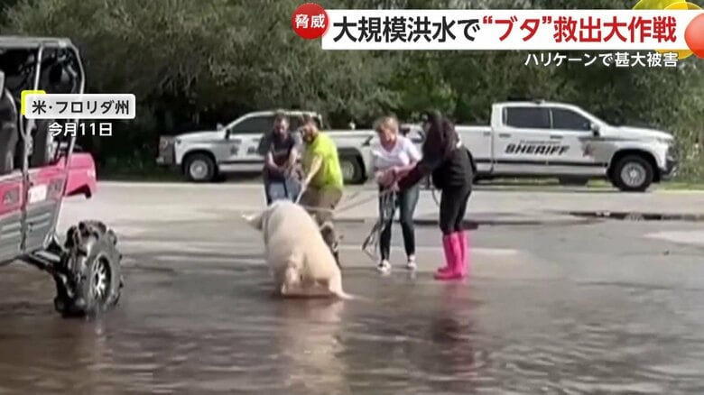 ロープを引っ張り、ミリーの救助を成功させた4人