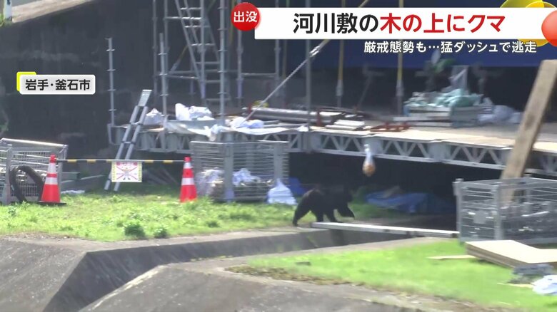 罠のエサを食べるも捕獲には至らず、工事現場へと姿を消したクマ