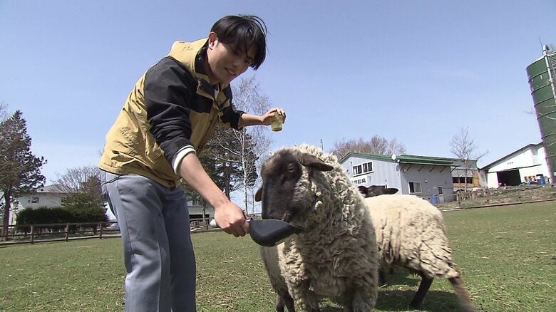 「箱根牧場」は300円で動物たちと触れ合える