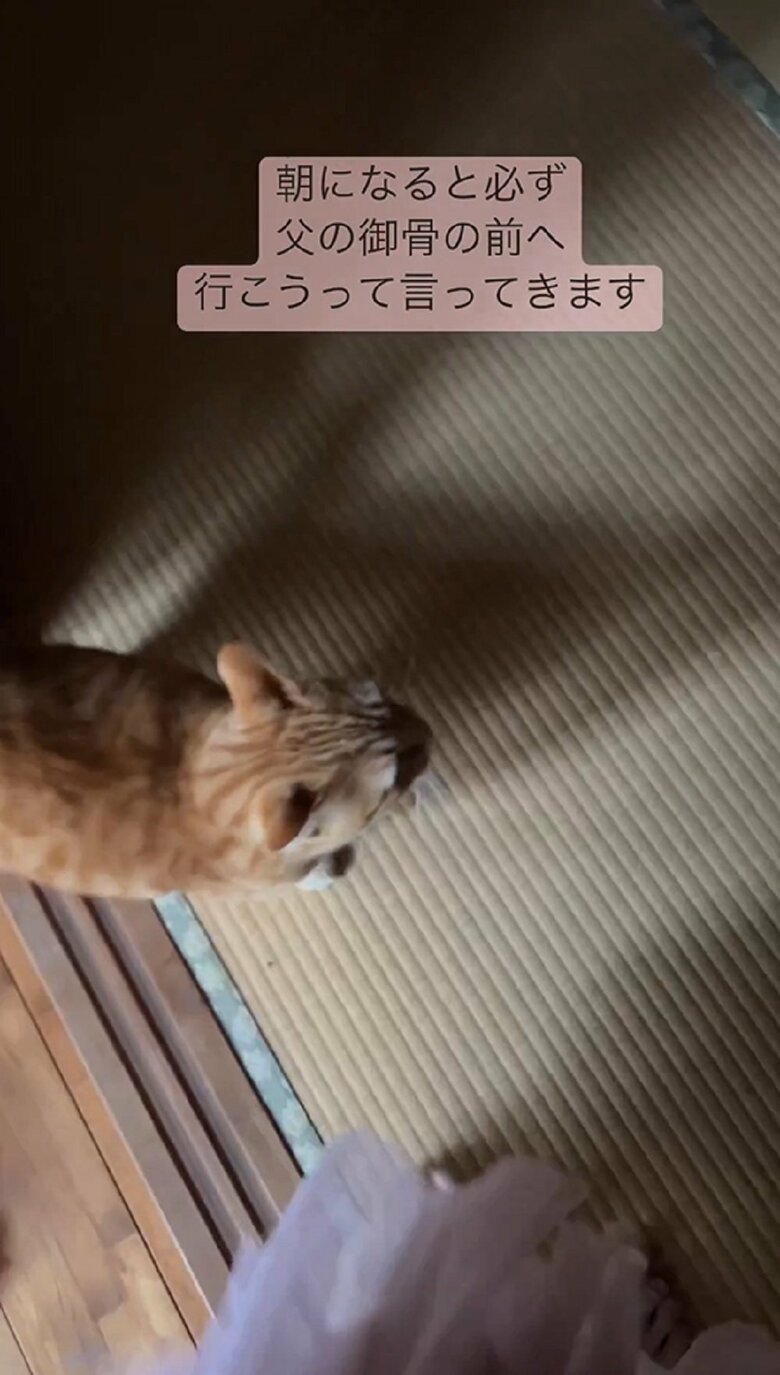 そして、部屋の奥を見つめる