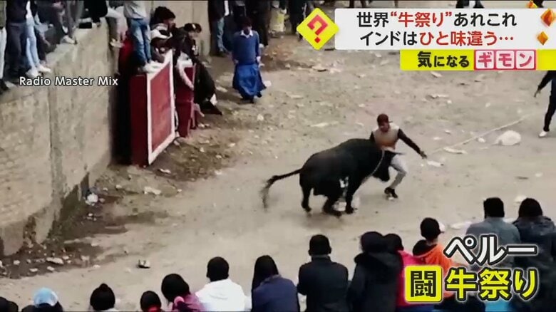 南米ペルーで開催された闘牛祭り
