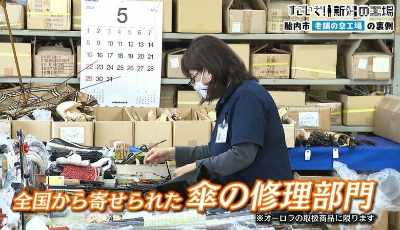 様々な内容の依頼がくる傘の修理