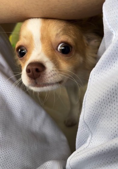 提供：ふくのすけさん