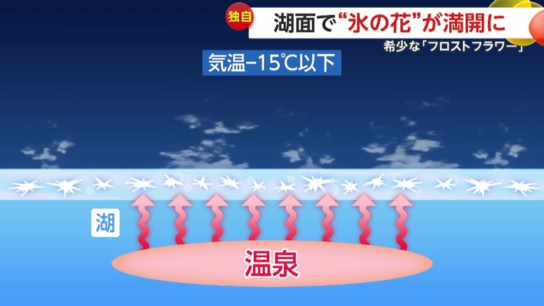 阿寒湖でフロストフラワーが発生する仕組み（イメージ画像）