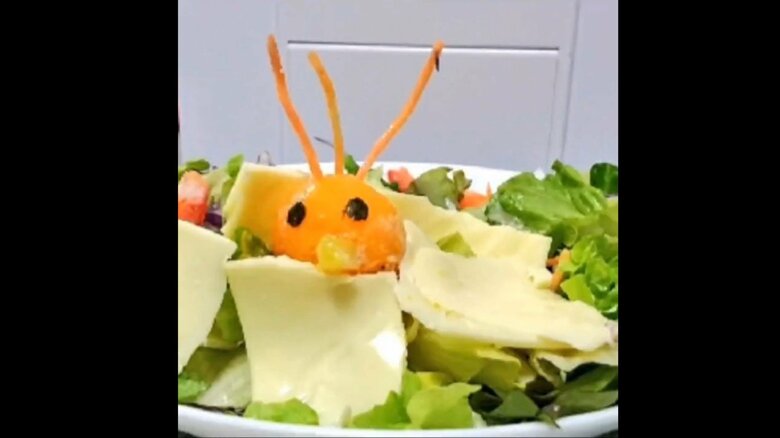 オカメインコのサラダ