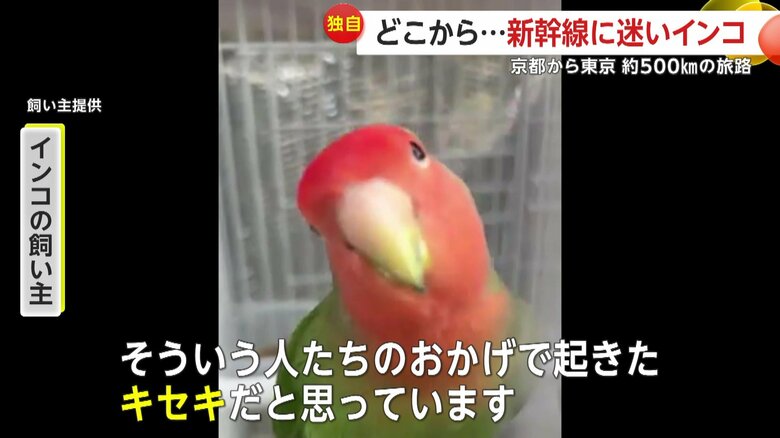 「Xでいろいろ協力してくださった方がたくさんいて」と、飼い主の女性