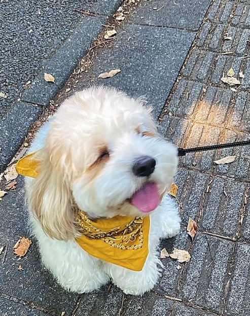 提供：宮原幸恵さん