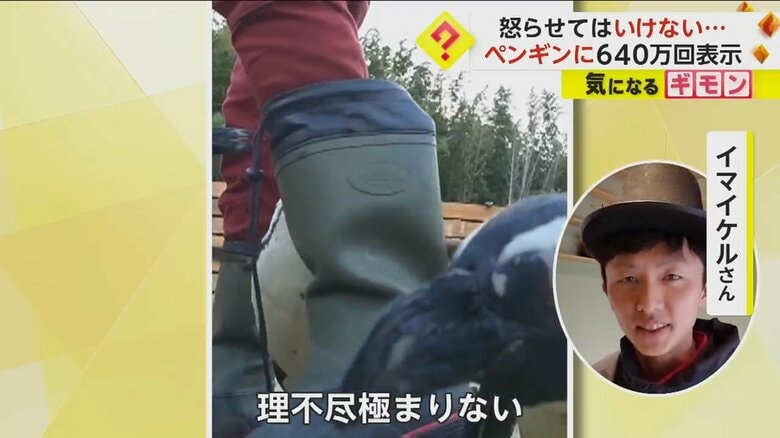 （劇団ペンターズ イマイケルさん提供）