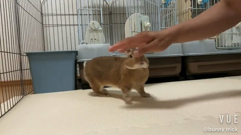 ぐるっと一回転