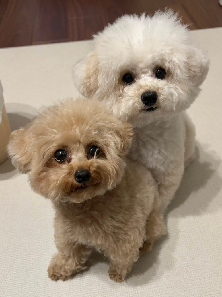 それでも普段は仲良し