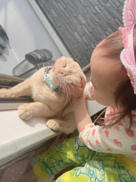 モフルンくんとつきのちゃん（提供：tsukiakari510さん）