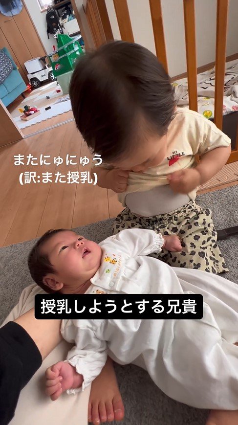 提供：＠zen_pokoさん