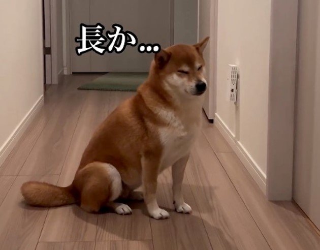 やっぱりお風呂は長か…（提供：柴犬けいちゃん）