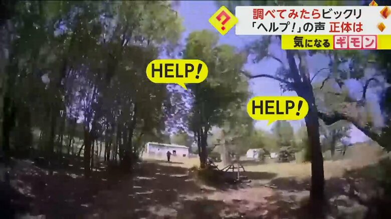 向こうから「HELP！」という声が聞こえてくる（TMX）