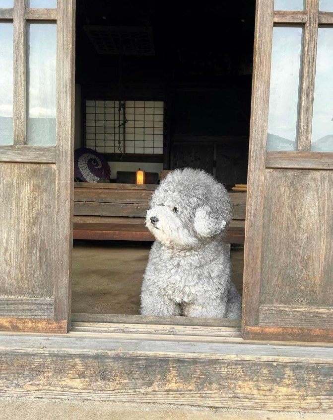 提供：レノン&れあるさん