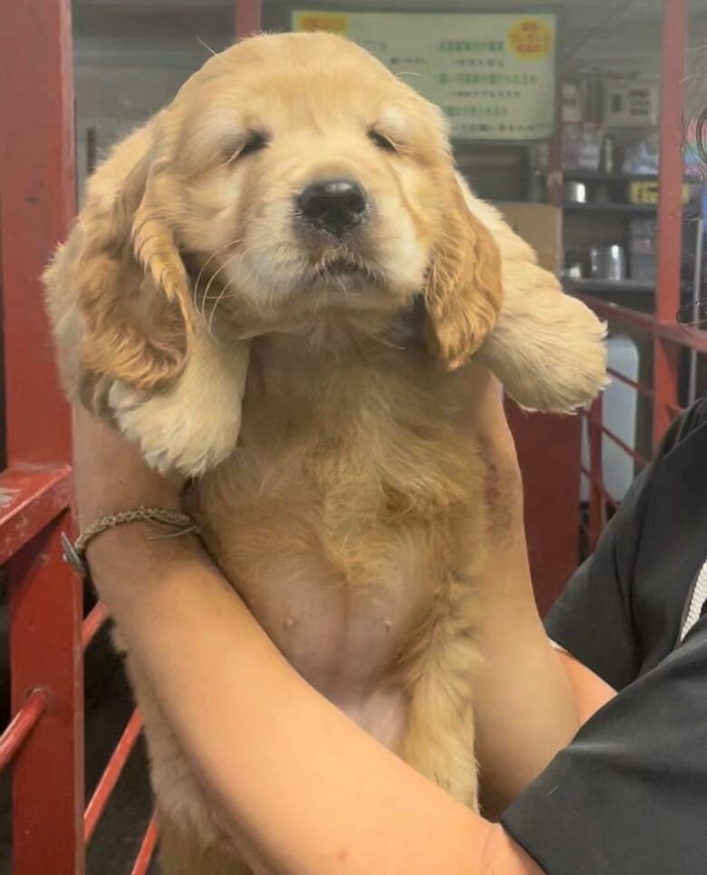 提供：関口和也さん