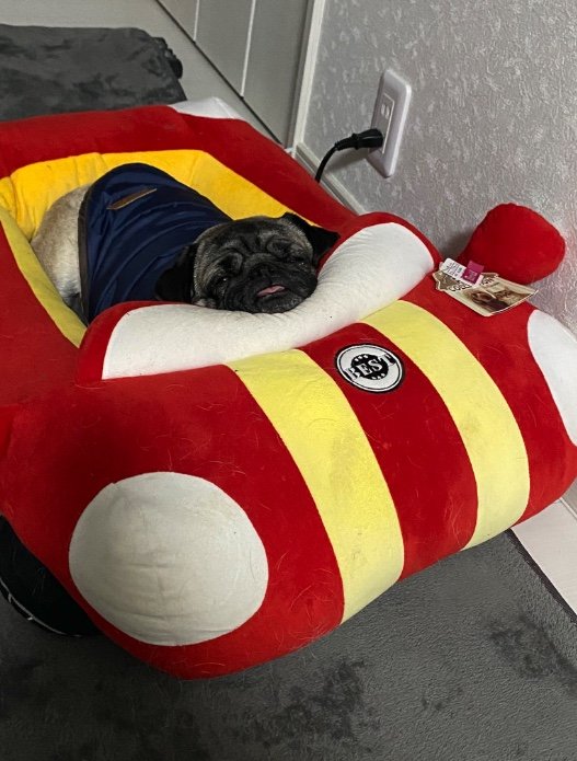 提供：ボンさん