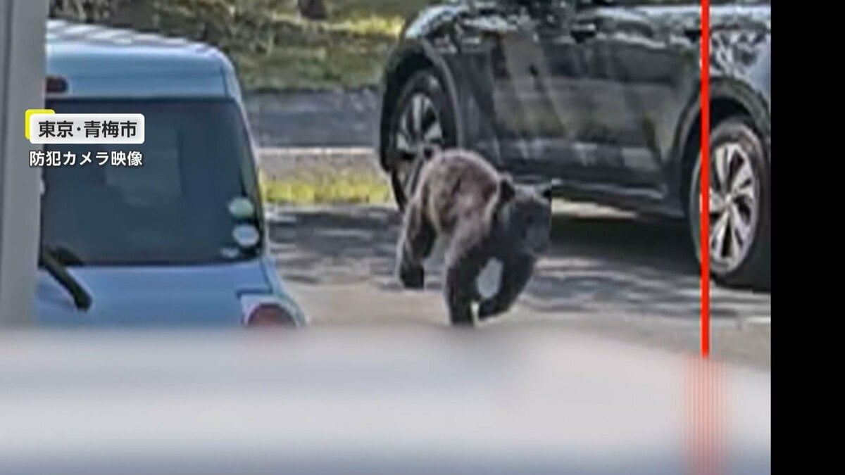 独自】「やっぱり怖いですね」各地で相次ぐクマ被害…東京・青梅市でも